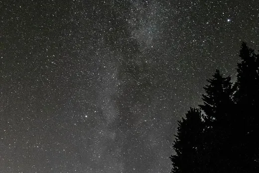Milky Way over the treeline — placeholder photograph, not by the site owner.