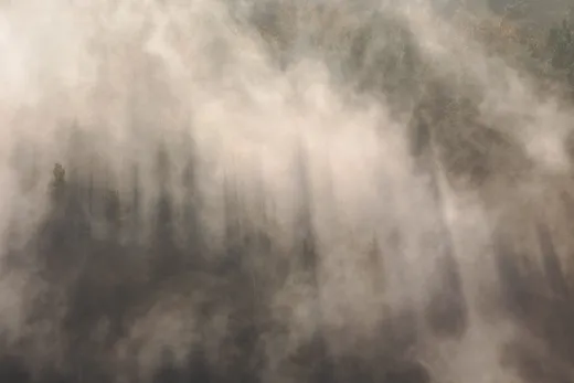 Spruce shadows in fog — placeholder photograph, not by the site owner.